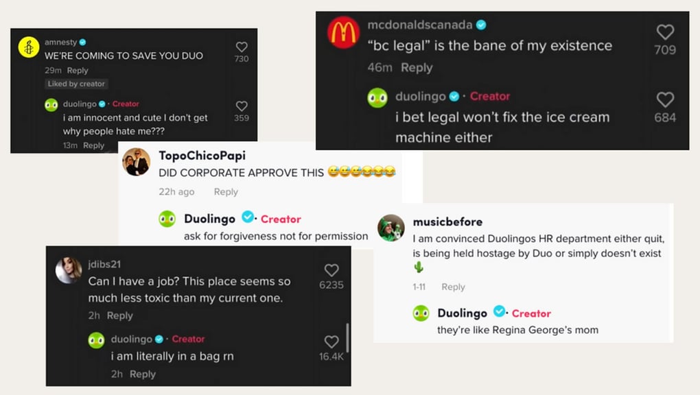Examples of Duolingo social replies