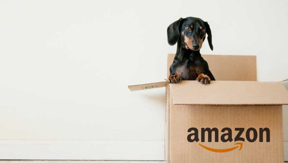Don't wait till it's too late: Amazon's influence on eCommerce
