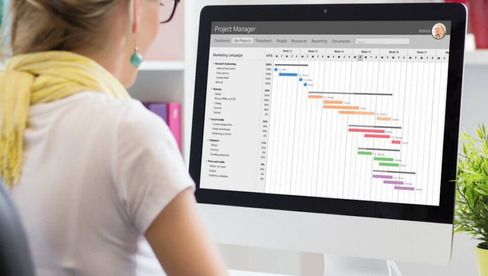 Here's why you should love your project manager